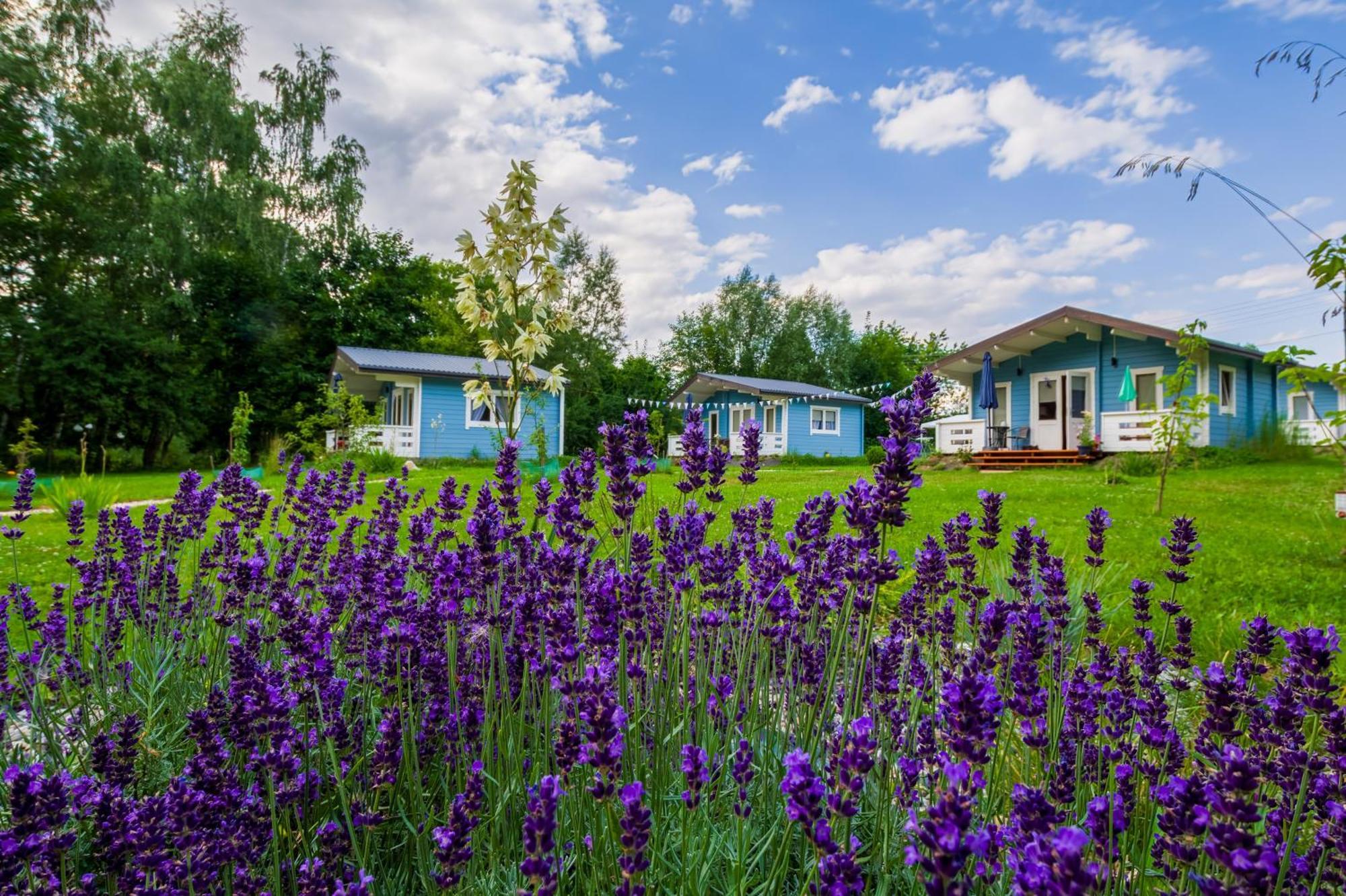 Domek Caloroczny Na Wylacznosc Niebieska Osada Nad Gorskim Potokiem Stary Waliszow Exterior photo