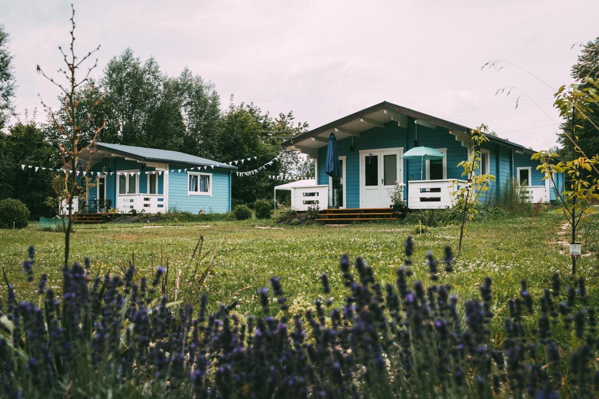 Domek Caloroczny Na Wylacznosc Niebieska Osada Nad Gorskim Potokiem Stary Waliszow Exterior photo